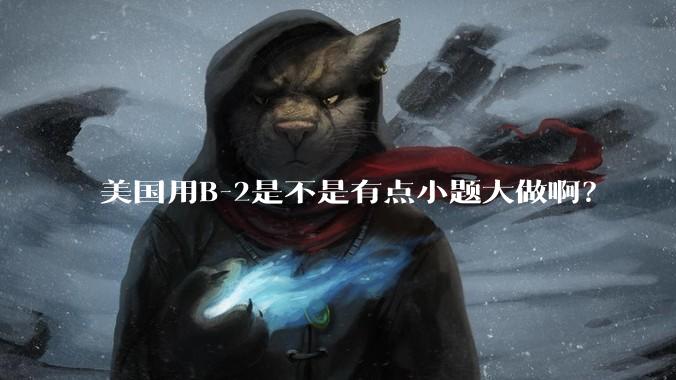 美国用B-2是不是有点小题大做啊？